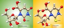 Oxygen vs. Sulfur: Battle for Stability