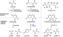 Alternative Environments Influence Product Formation